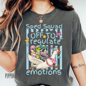 May include: Dark gray t-shirt with a whimsical graphic. The design features a goose carrying three animal characters with the text "Sped Squad OFF TO regulate emotions". The shirt has a crew neck and short sleeves.
