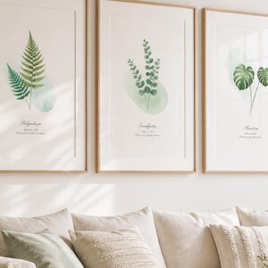 Botanical Wall Art Set of 3, Watercolor Eucalyptus Monstera Fern Prints, Minimalist Green Printable Art, Nature Decor, Instant Download