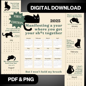 Judgy Cat Calendar 2025 & 2026, Sassy AF Swearing Cat Monthly Planner, Funny Adult Humor, Sarcastic Quotes, Digital Download, Cat Lover Gift