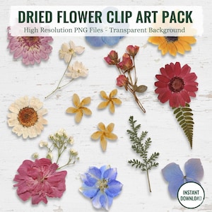 Peut inclure: Un assortiment de fleurs séchées de différentes couleurs, notamment rose, jaune, rouge et bleu, disposées sur une surface en bois blanc. L'image contient le texte "Dried Flower Clip Art Pack" et "High Resolution PNG Files - Transparent Background."