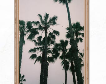 ビンテージ カリフォルニア ポスター、ミッドセンチュリー モダン
