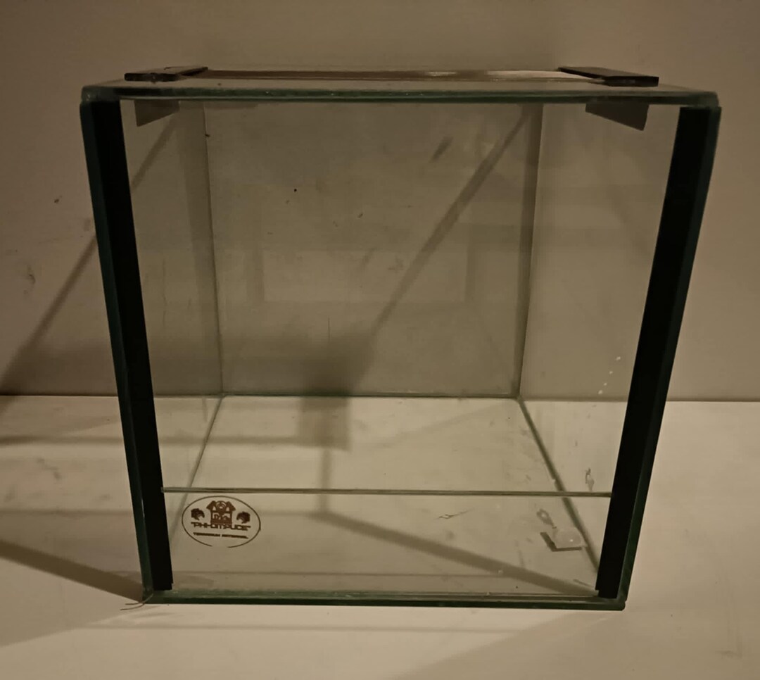 Glass Terrarium 20x20x20 tarantula, Stick Insect, Mantis - Etsy