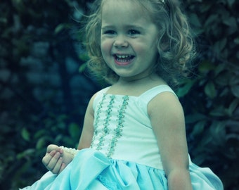 Cinderella Costume, Cinderella Dress, Cinderella Birthday, Cinderella Princess Costume Bustle Dress with Vintage Velvet Lace