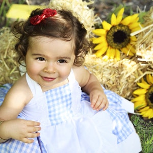 Dorothy Dress, Dorothy Costume, Wizard of Oz Dorothy Costume, Dorothy Wizard of Oz Dress, Dorothy Dress Girls, Dorothy Costume Girls