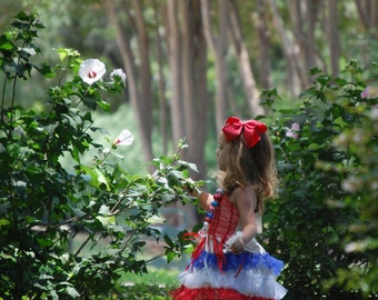 Patriotic Tutu Dress, Fourth of July Outfit, Red White Blue Dress, Girls Americana Dress, Independence Day Dress, Parade Outfit