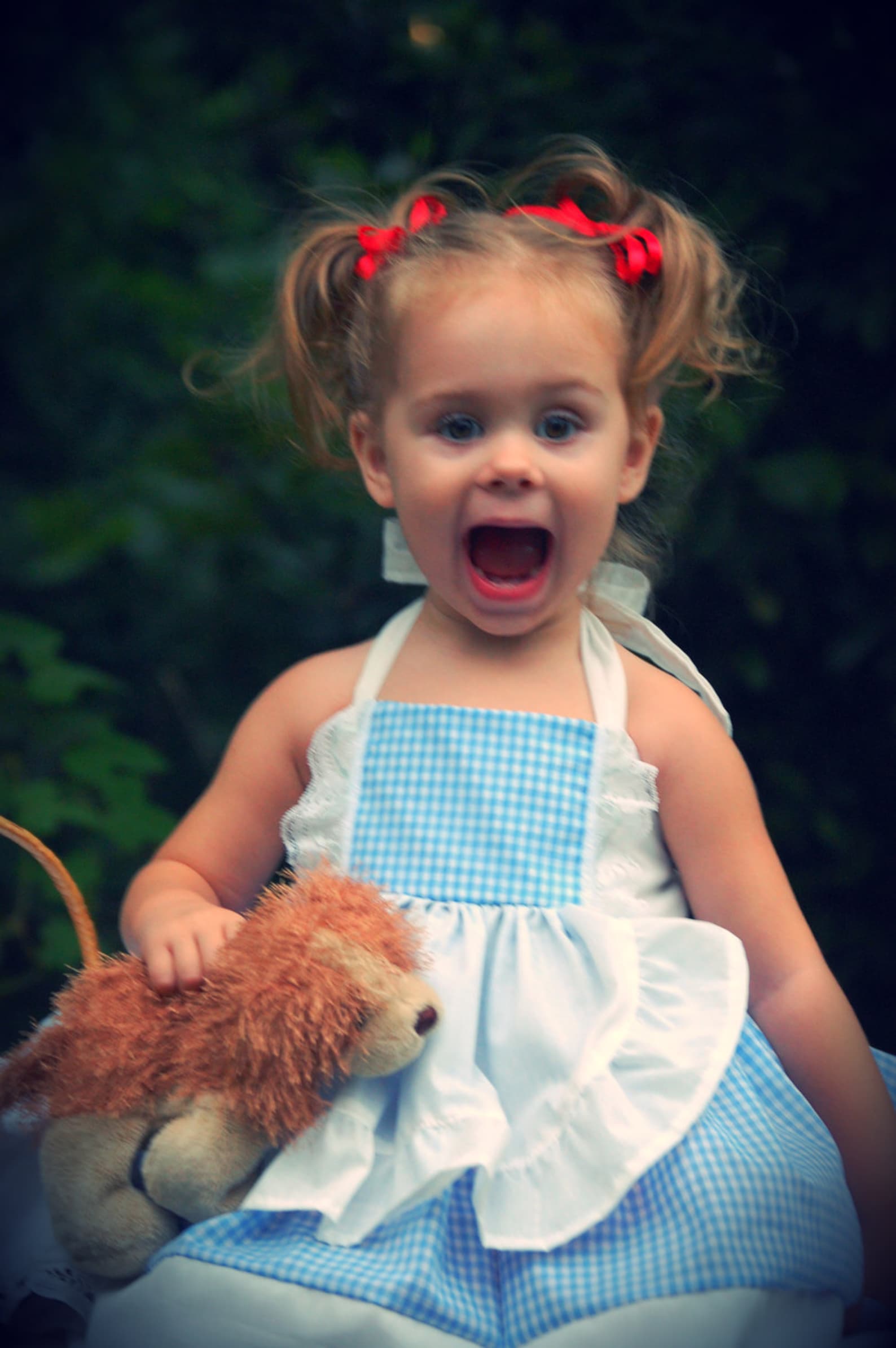 Dorothy Dress Dorothy Costume Wizard of Oz Dorothy Costume Etsy