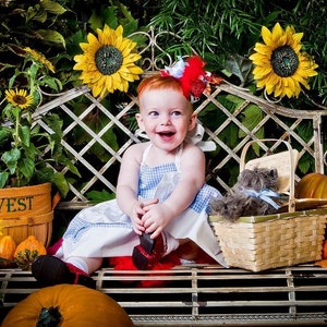 Wizard of oz dorothy costume. dorothy birthday dress, wizard of oz dorothy girls outfit