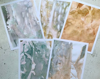 Eco Dyed Pack 1 PRINTABLE