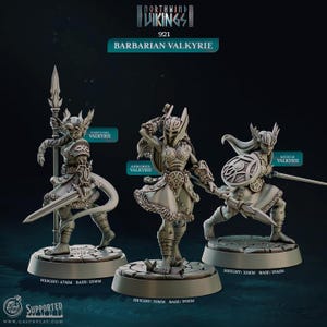 Barbarian Valkyrie (Northwind Vikings Collection) by Cast n Play - Resin Printed RPG Miniature