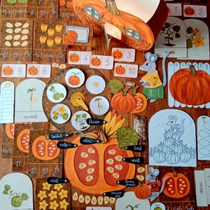 Kürbis-Aktivitäten. Naturstudie Herbst. Montessori. Waldorf. Toyler, Vorschule, Homeschool Ressourcen. Kürbis Lebenszyklus. Kürbis Anatomie.