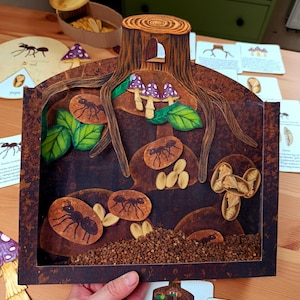 May include: A diorama of an ant farm, featuring a tree stump with a small opening, purple mushrooms, and paper cutouts of ants, leaves, and eggs. The diorama is set on a wooden table with additional ant-themed cards and a wooden container.