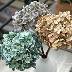 May include: A white ceramic vase holding three hydrangea flower bouquets. The bouquets are in shades of green, brown, and purple. The vase sits on a wooden chest. A plant in a woven basket is in the background.