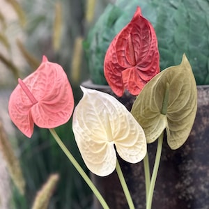 Anthurium Artificial Candy Pink - Etsy