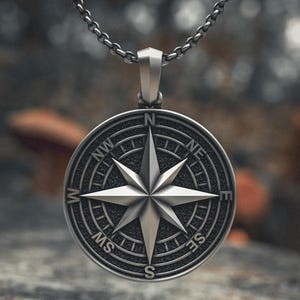May include: Silver-toned compass pendant necklace. The pendant features a detailed compass rose design with directional markers. The necklace hangs from a matching chain. The background is blurred, suggesting an outdoor setting.
