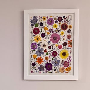 Art  print of original pressed flower wall art. Unframed.