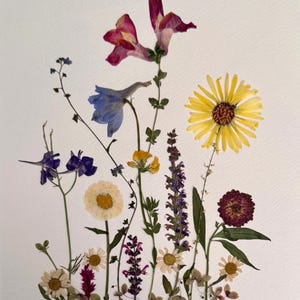 Original pressed flower wall art.  Mounted on acid free paper.  Framed.