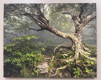 Canvas Gallery wrap