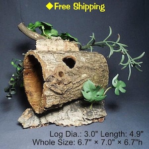 Puede incluir: Un tronco de árbol hueco con una corteza exterior, que mide 7,6 cm de diámetro y 12,4 cm de largo, se utiliza como escondite para animales pequeños. El tronco se coloca sobre un trozo de corteza y está rodeado de follaje verde. El tamaño total del tronco y la base de corteza es de 17 cm por 17,8 cm por 17 cm de alto.