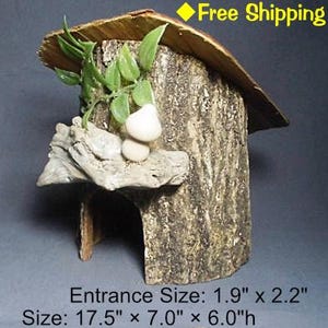 Può includere: Una piccola casetta per uccelli in legno a forma di ceppo d'albero con un tetto, un piccolo ingresso e un ramo con due funghi bianchi. La casetta per uccelli misura 44,5 cm di larghezza, 17,8 cm di profondità e 15,2 cm di altezza. L'ingresso misura 4,8 cm di larghezza e 5,6 cm di altezza.