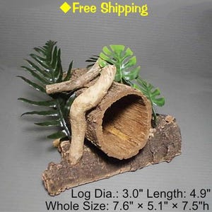 Può includere: Un nascondiglio di tronco cavo per rettili, realizzato in corteccia di sughero con un diametro di 7,6 cm e una lunghezza di 12,4 cm. Il nascondiglio è circondato da vegetazione artificiale e ha una dimensione totale di 19,3 cm per 13 cm per 19 cm.