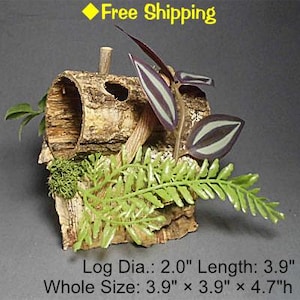 Può includere: Un piccolo tronco cavo con un diametro di 2,0 pollici e una lunghezza di 3,9 pollici, decorato con muschio verde, una felce e una pianta viola e bianca. Il tronco misura 3,9 pollici di larghezza, 3,9 pollici di profondità e 4,7 pollici di altezza.