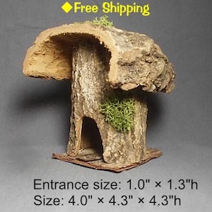 Può includere: Una piccola casetta per uccelli rustica in legno naturale con un tetto ricoperto di muschio e un piccolo ingresso. La casetta misura 10 cm di larghezza e 11 cm di altezza. L'ingresso misura 2,5 cm di larghezza e 3,3 cm di altezza.