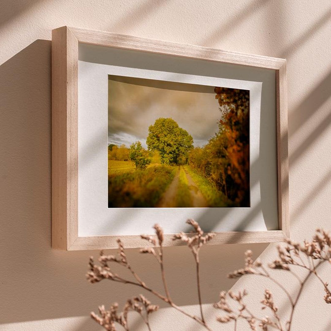 Limited Edition A4 Life Spring Landscape Puddle Shower Print Tree ...