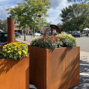 May include: Two large, rectangular, weathered-steel planters filled with colorful flowers. One planter has yellow mums, the other has a mix of red, white, and yellow flowers. The planters are outdoors, with a street and trees in the background.