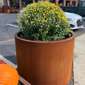 May include: A rusty brown metal planter with a round top and a wide base. The planter is filled with a green bush with yellow flowers.
