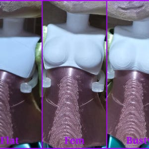 May include: A 3D printed doll torso featuring three interchangeable chest plates labeled Flat, Fem, and Busty. The white chest pieces contrast with the metallic pink textured midsection and waist, showcasing distinct anatomical variations for customization.