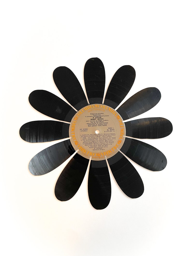 Vinyl Record Art Daisy Flower, Large, Set of 2 image 2