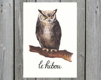 Happy Hibou 20 enveloppes motif hiboux contient temps DL of Owl kinderpost Happy Hibou 20 enveloppes motif hiboux contient temps DL of Owl kinderpost