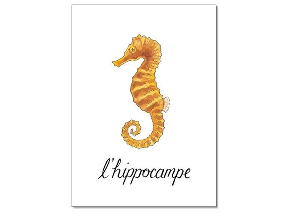 L Hippocampe Impresion De Caballitos De Mar Etsy L Hippocampe Impresion De Caballitos De Mar Etsy