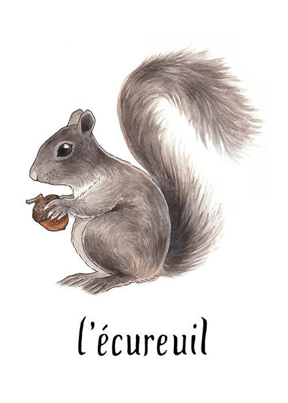 L Ecureuil Squirrel Print Etsy