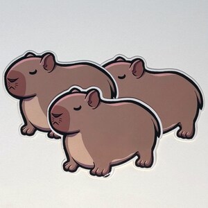 Cute Round Sleepy Capybara | Waterproof Vinyl Sticker