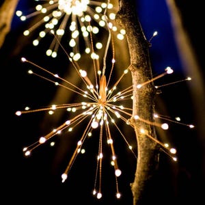 May include: A set of copper wire string lights with warm white LED bulbs. The lights are shaped like a starburst and are hanging from a tree branch.