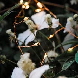 Copper Wire Fairy Lights | Home Decor Garland String Lights Battery Operated and Mains