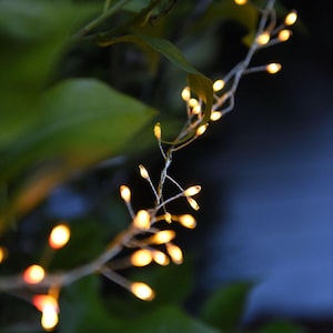 May include: Close-up of a string of warm white LED fairy lights. The lights are clustered on thin, flexible wire, with a few lights in focus. The background is blurred, showing green leaves and a dark blue backdrop.