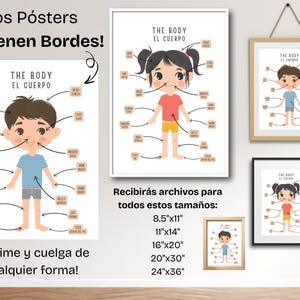 May include: Two printable posters with illustrations of children and labels for body parts in Spanish and English. The posters are available in various sizes, including 8.5x11 inches, 11x14 inches, 16x20 inches, 20x30 inches, and 24x36 inches.