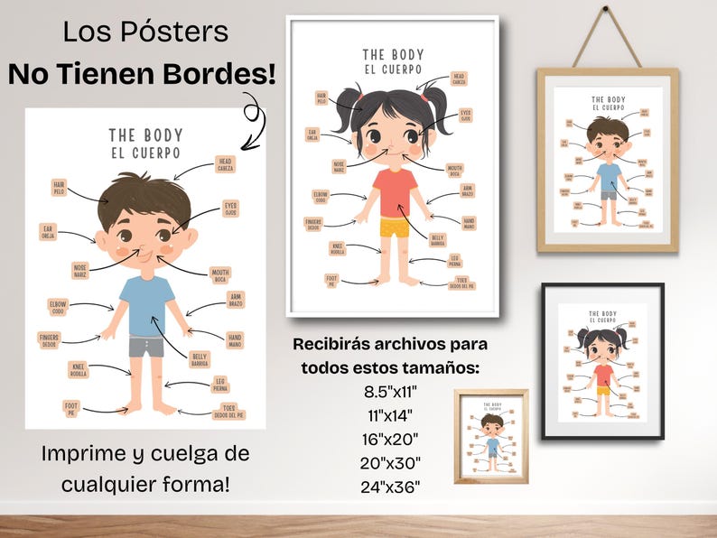 May include: Two printable posters with illustrations of children and labels for body parts in Spanish and English. The posters are available in various sizes, including 8.5x11 inches, 11x14 inches, 16x20 inches, 20x30 inches, and 24x36 inches.