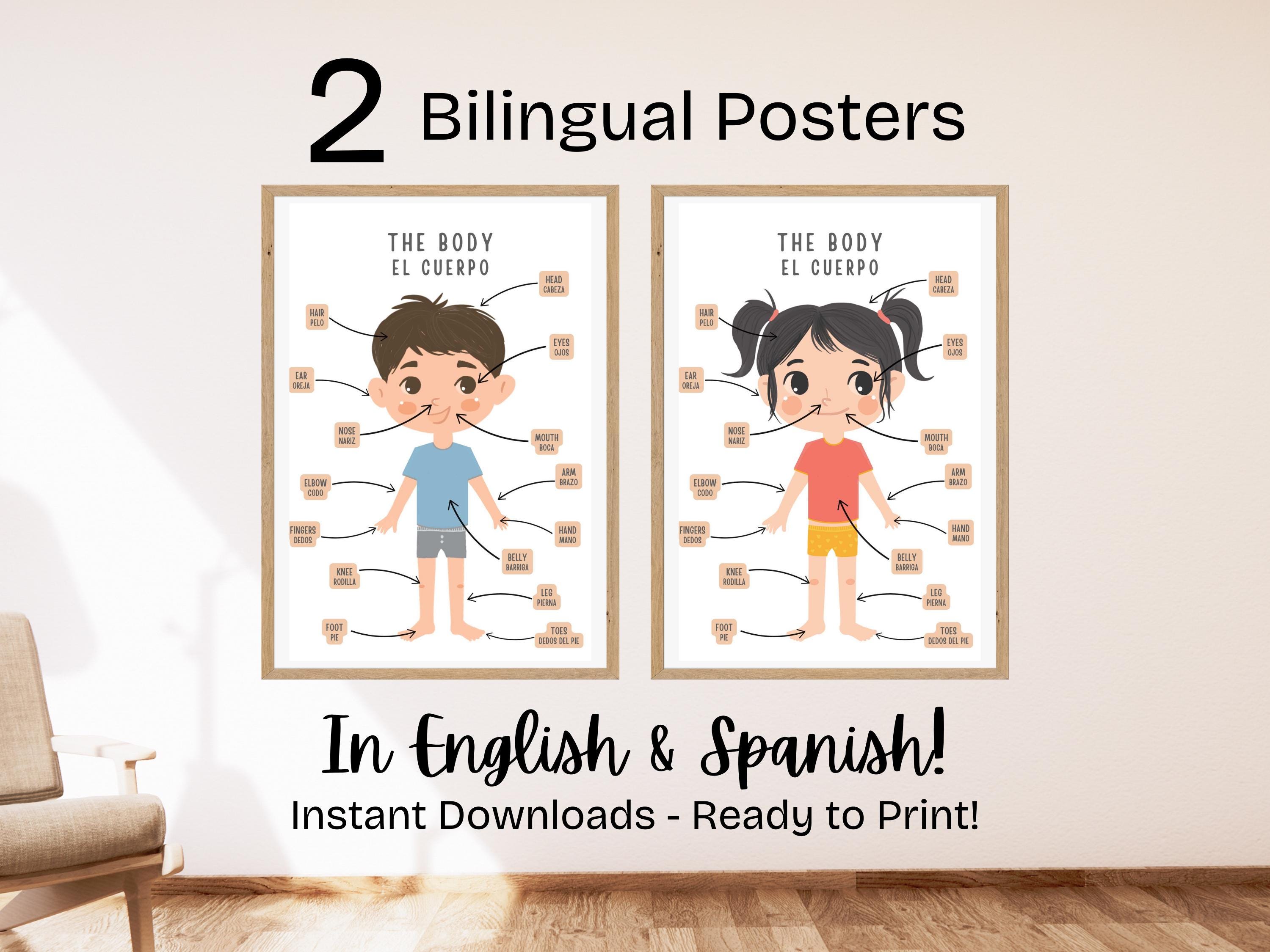 Bilingual Posters, Body Parts Educational Posters, English and Spanish, Toddler Bedroom Decor, Nursery Decor, Preschool, Daycare, Homeschool