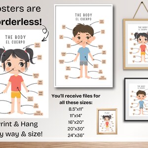 May include: Two printable posters with illustrations of a girl and a boy, each with labels pointing to different parts of the body in both English and Spanish. The posters are available in multiple sizes, including 8.5x11 inches, 11x14 inches, 16x20 inches, 20x30 inches, and 24x36 inches.