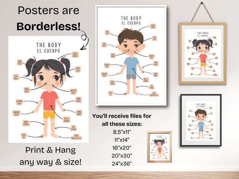 May include: Two printable posters with illustrations of a girl and a boy, each with labels pointing to different parts of the body in both English and Spanish. The posters are available in multiple sizes, including 8.5x11 inches, 11x14 inches, 16x20 inches, 20x30 inches, and 24x36 inches.
