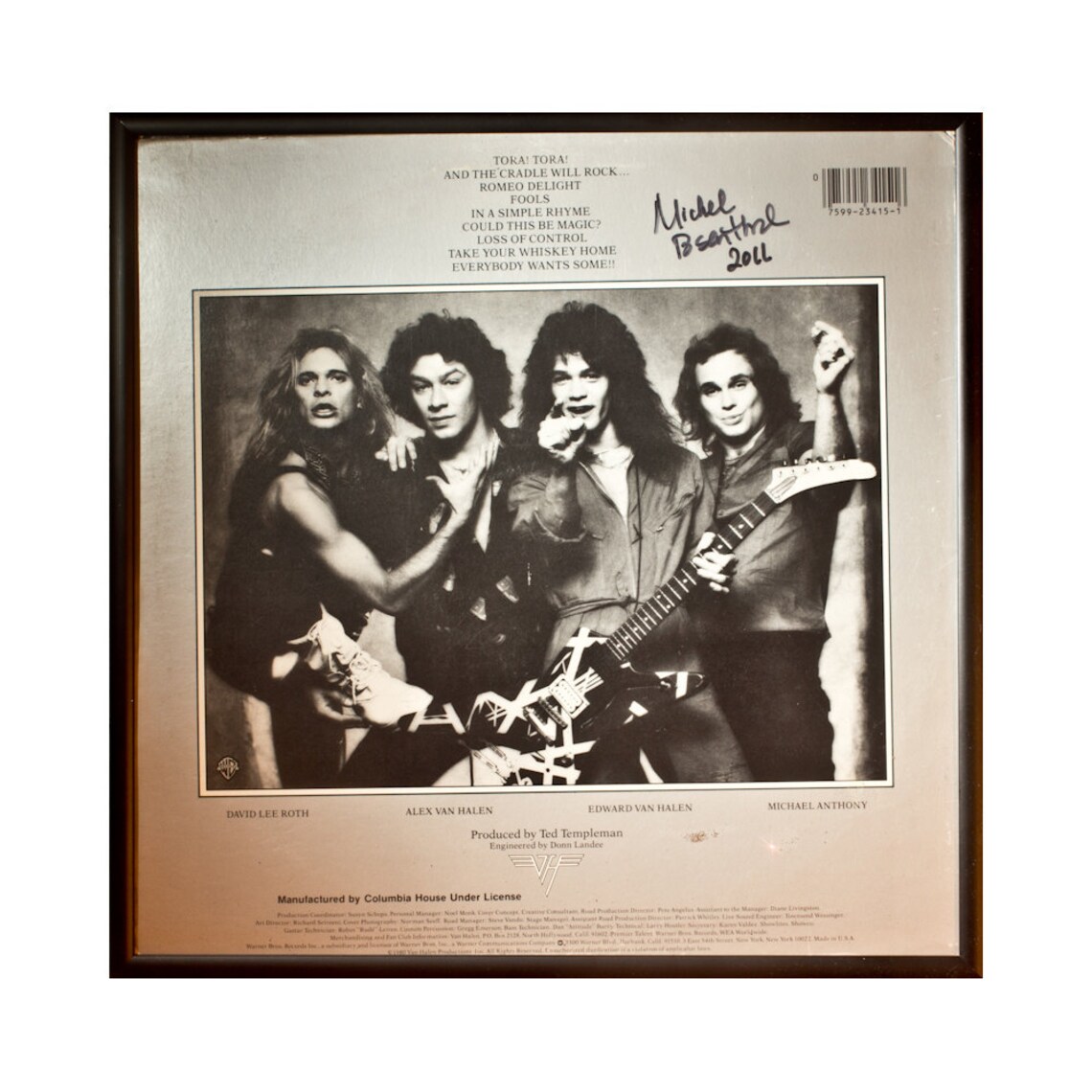 Glittered Van Halen Album Green Etsy UK