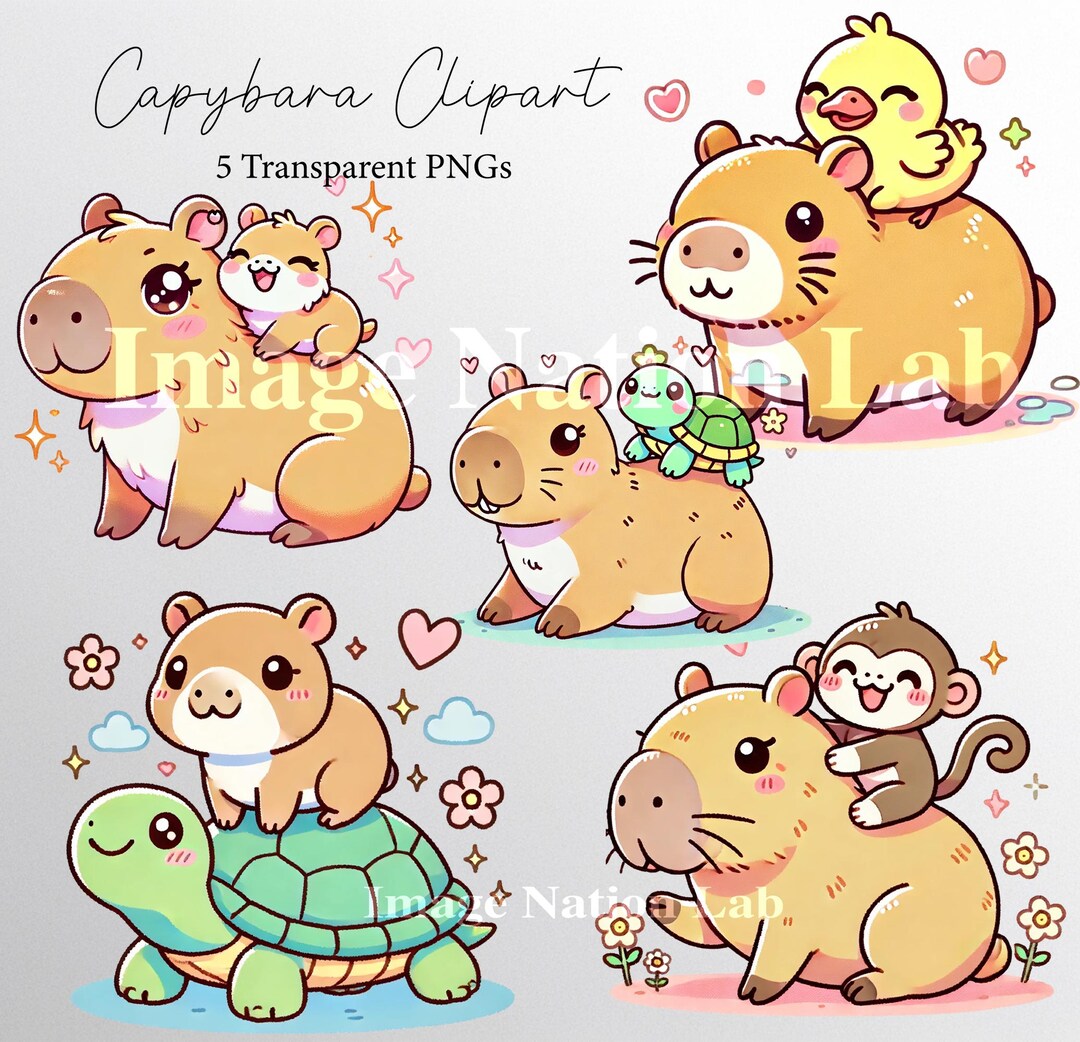Cute Capybara Kawaii Clipart Digital Download, Transparent Pngs ...