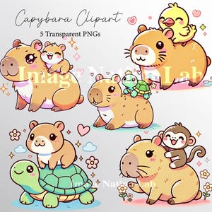 Op de afbeelding: Vijf cartoonillustraties van capybara's in verschillende poses. De capybara's zijn bruin met roze neuzen en oren. Ze dragen verschillende accessoires, waaronder een schildpad, een aap, een eend en een kleinere capybara. De illustraties zijn geplaatst tegen een witte achtergrond met roze harten, sterren en bloemen.
