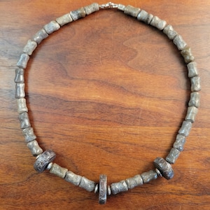 Fossil Dinosaur Bone & Sterling Accents