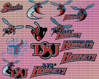 Delaware State SVG, Hornets SVG, College, University, DSU, College, Athletics, Football, Basketball, Cricuti Instant Download