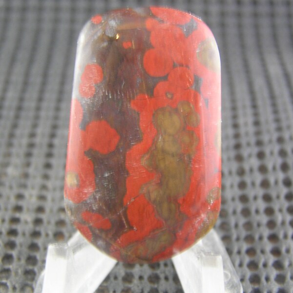 PRICE REDUCTION Morgan Hill Poppy Jasper Freeform Designer Cabochon BIG