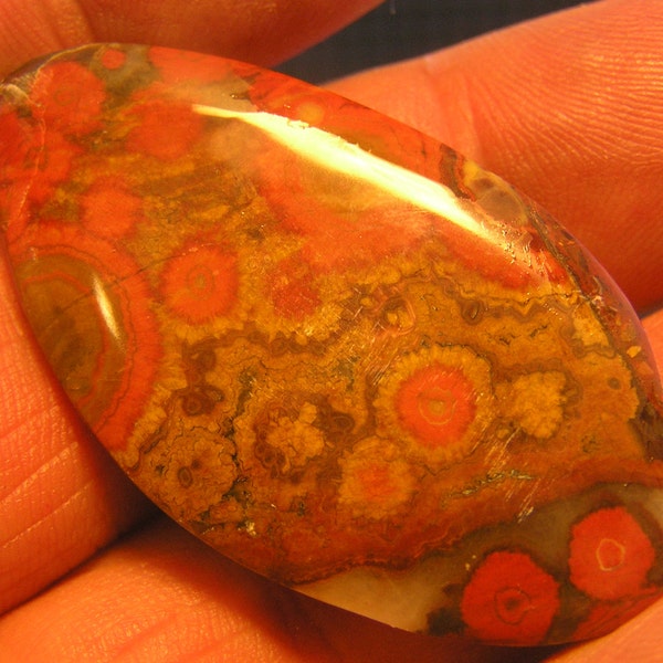 Morgan Hill Poppy Jasper Freeform Designer Cabochon NICE